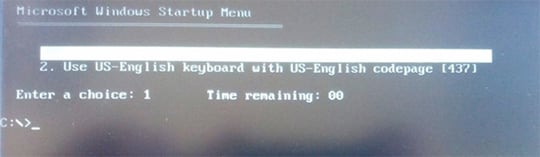 bios update screenshot