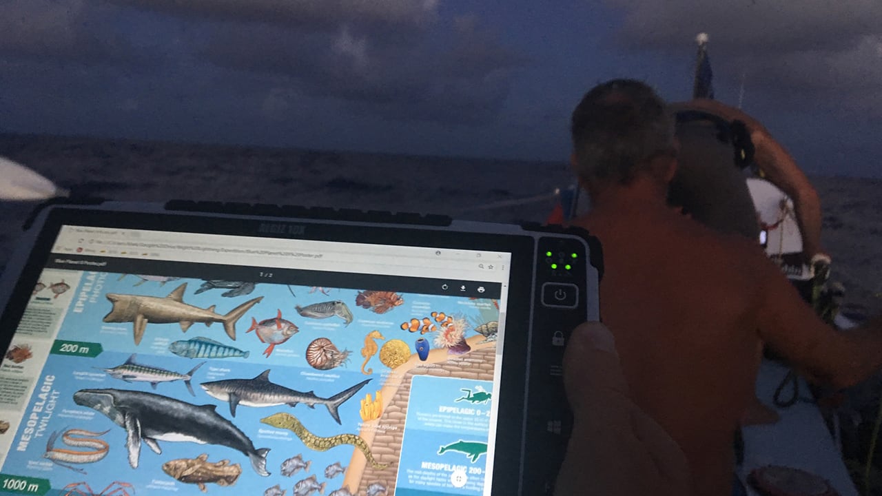 Looking for sharks on the Handheld Algiz 10X