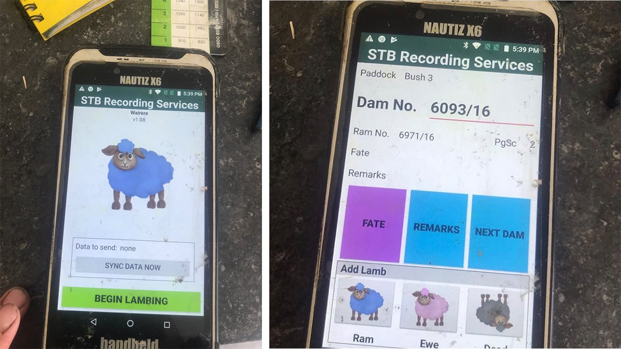 animal tagging and lambing app