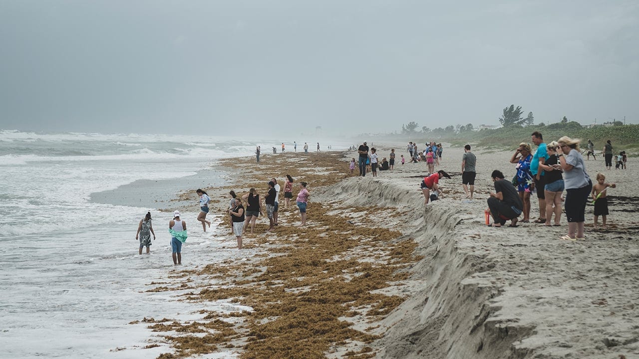 coastal storm impacts